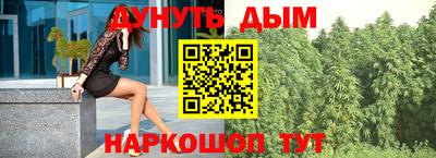гашик Будённовск