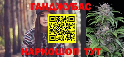 гашик Будённовск