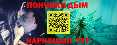 гашик Будённовск