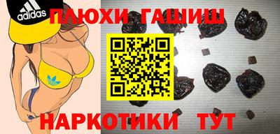 гашик Будённовск