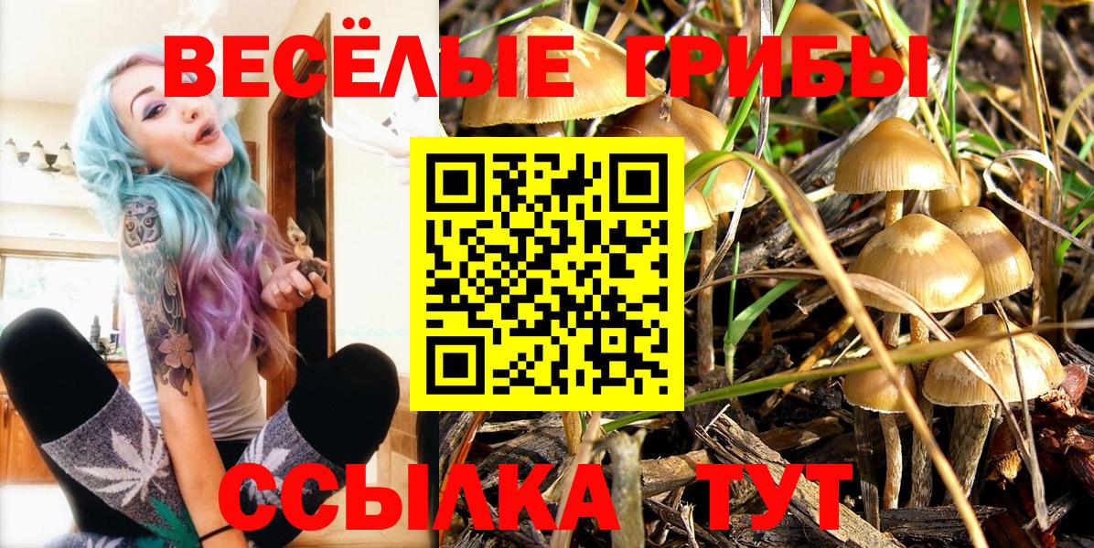 Псилоцибиновые грибы мухоморы  Вход с VPN  Северск  Псилоцибиновые грибы Cubensis 